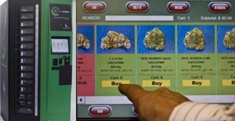 不朽情缘游戏(MG)官网登录入口