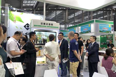 不朽情缘游戏(MG)官网登录入口